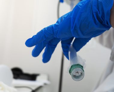 Blue gloved hand holding a tube with three mosquitoes showing against the mesh secured at the end of the tube with a green rubber band.