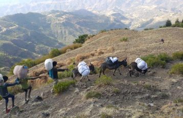 Distributing long lasting insecticide-treated nets (LLINs) in Ethiopia