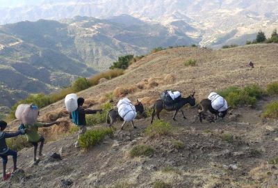 Distributing long lasting insecticide-treated nets (LLINs) in Ethiopia