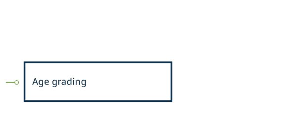 Diagram of age grading categories